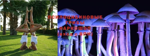 винт Арсеньев
