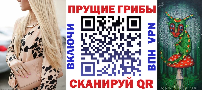 Купить закладки Покровск Псилоцибиновые грибы Psilocybine cubensis